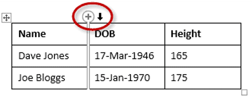 Quick insert column feature showing plus symbol in Word Plus icon appearing to insert new column in Word table